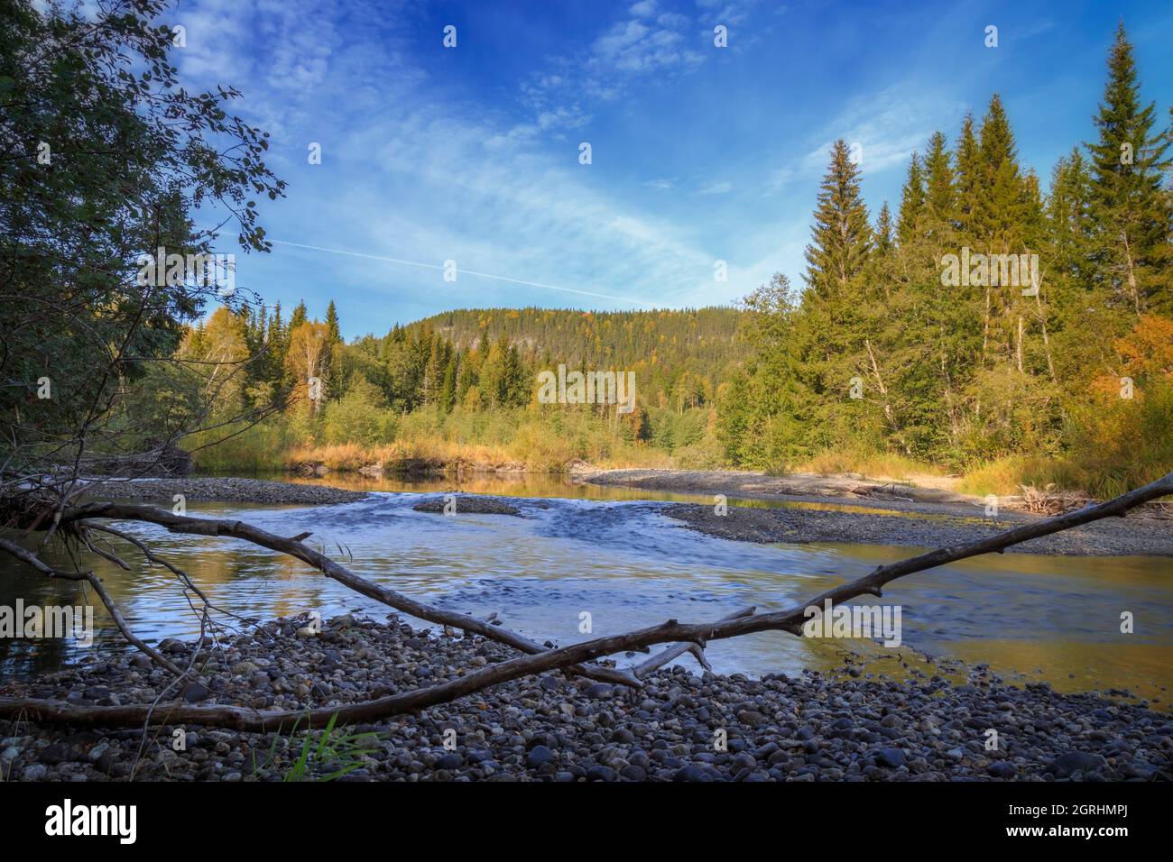 stones in a river forest mountain landscape Stock Photo
