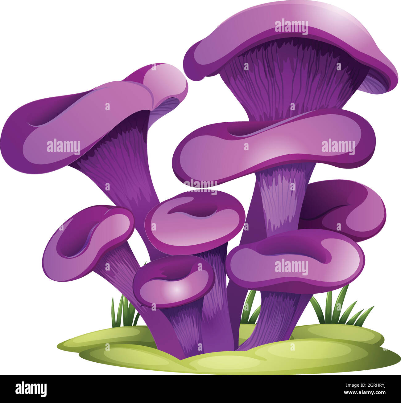 Purple fungi Stock Vector