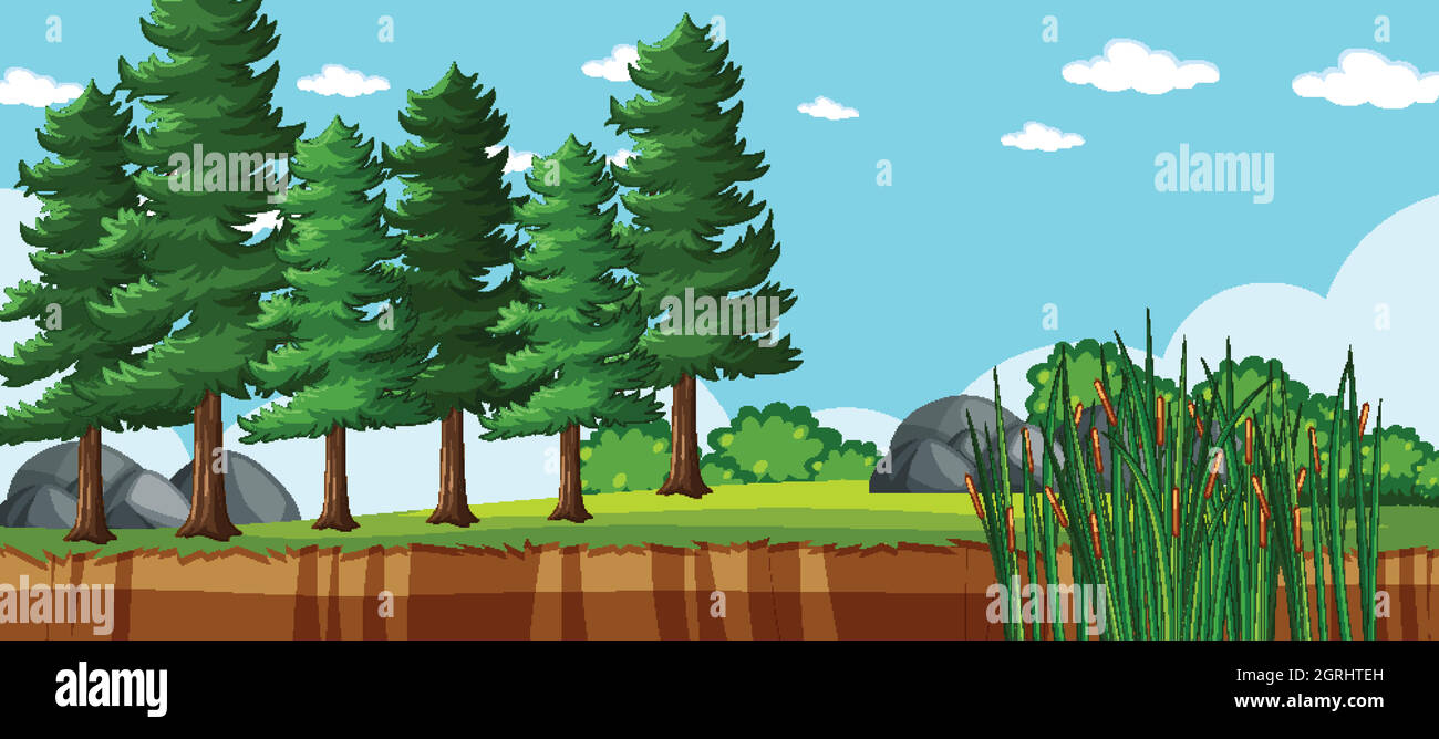 Blank landscape in nature park scene with many pines Stock Vector Image ...