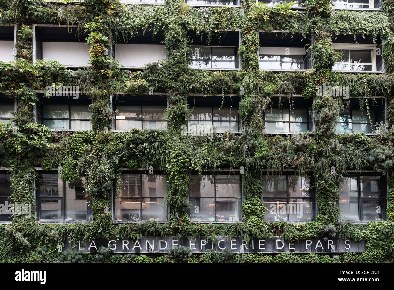 The green wall of La Grande Epicerie de Paris, located in the 16th district  of Paris. Paris France, October 1st, 2021. Photo by Daniel  Derajinski/ABACAPRESS.COM Stock Photo - Alamy