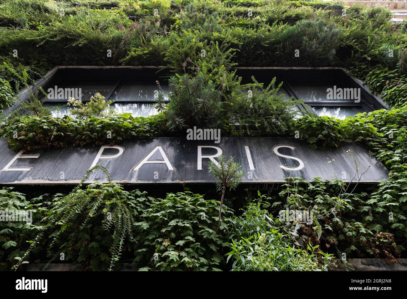 The green wall of La Grande Epicerie de Paris, located in the 16th district  of Paris. Paris France, October 1st, 2021. Photo by Daniel  Derajinski/ABACAPRESS.COM Stock Photo - Alamy