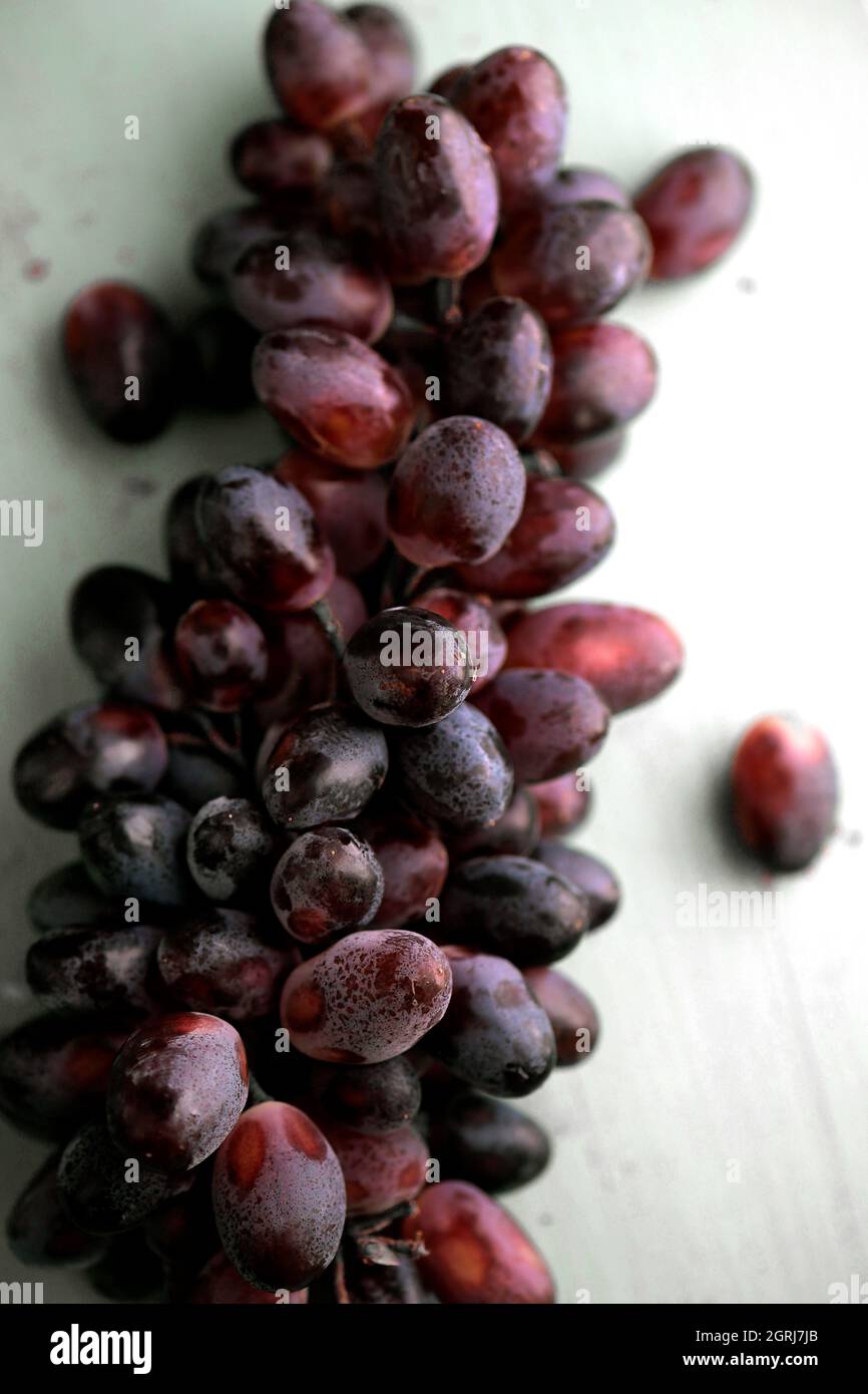 Purple code hi-res stock photography and images - Alamy