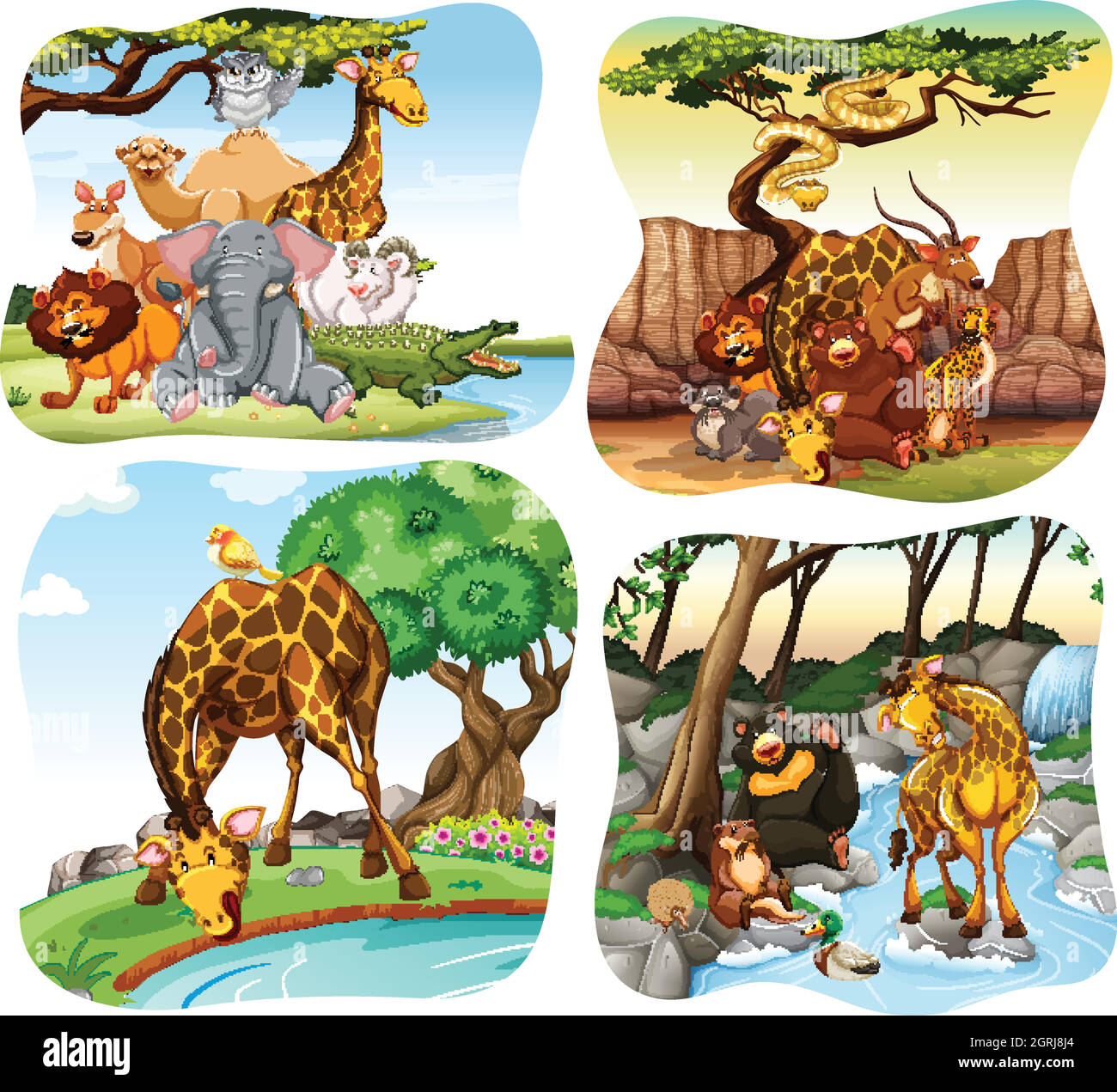 Wild animals living in the forest Stock Vector