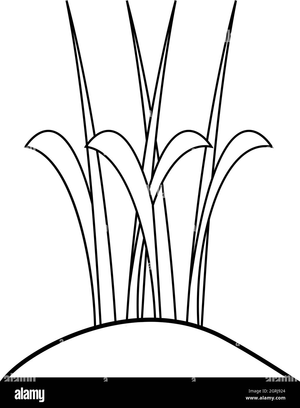 sprouts-icon-outline-style-stock-vector-image-art-alamy