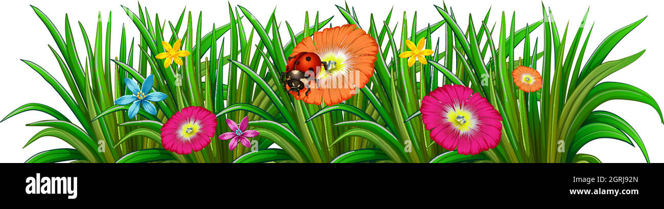 A garden with a blooming flowers and a ladybug Stock Vector