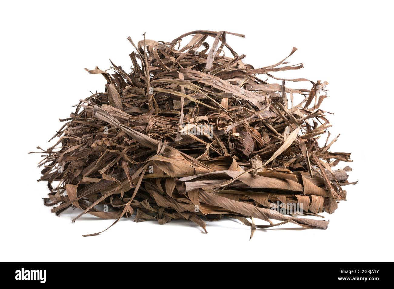 heap of dried banana tree leaves, dead, fallen and discolored leaves to make garden compost, closeup isolated in white background Stock Photo