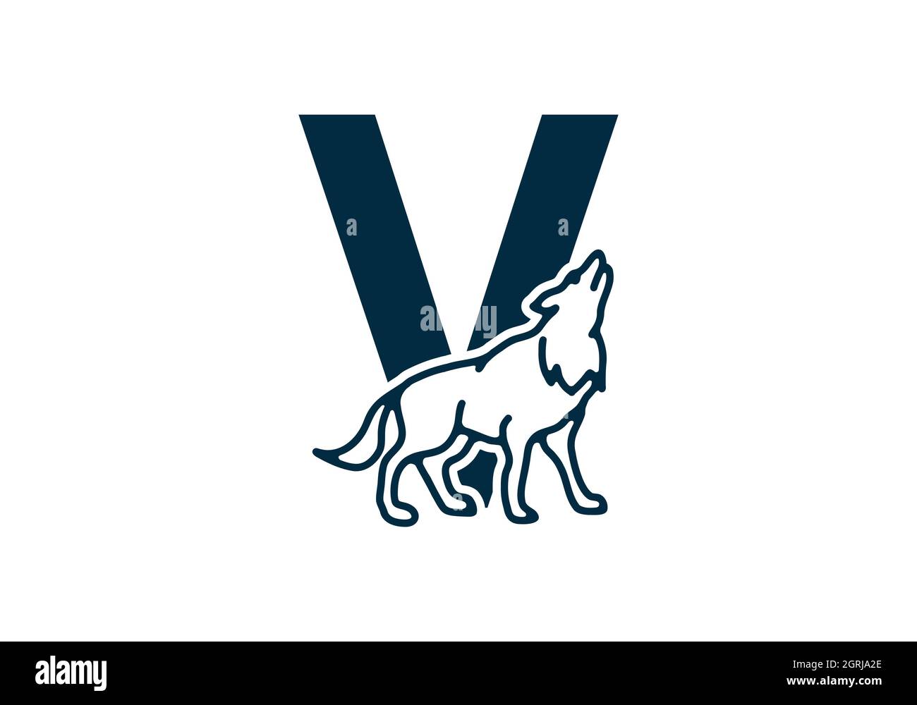 Dark Blue Color Of V Initial Letter With Wolf Design Stock Vector Image Art Alamy