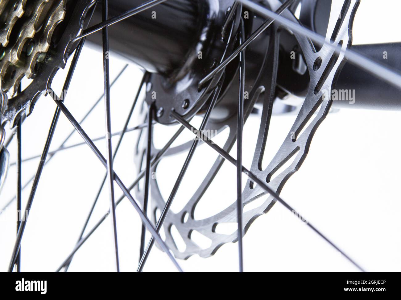 Bicycle disc brakes closeup, spokes. Light background transmission
