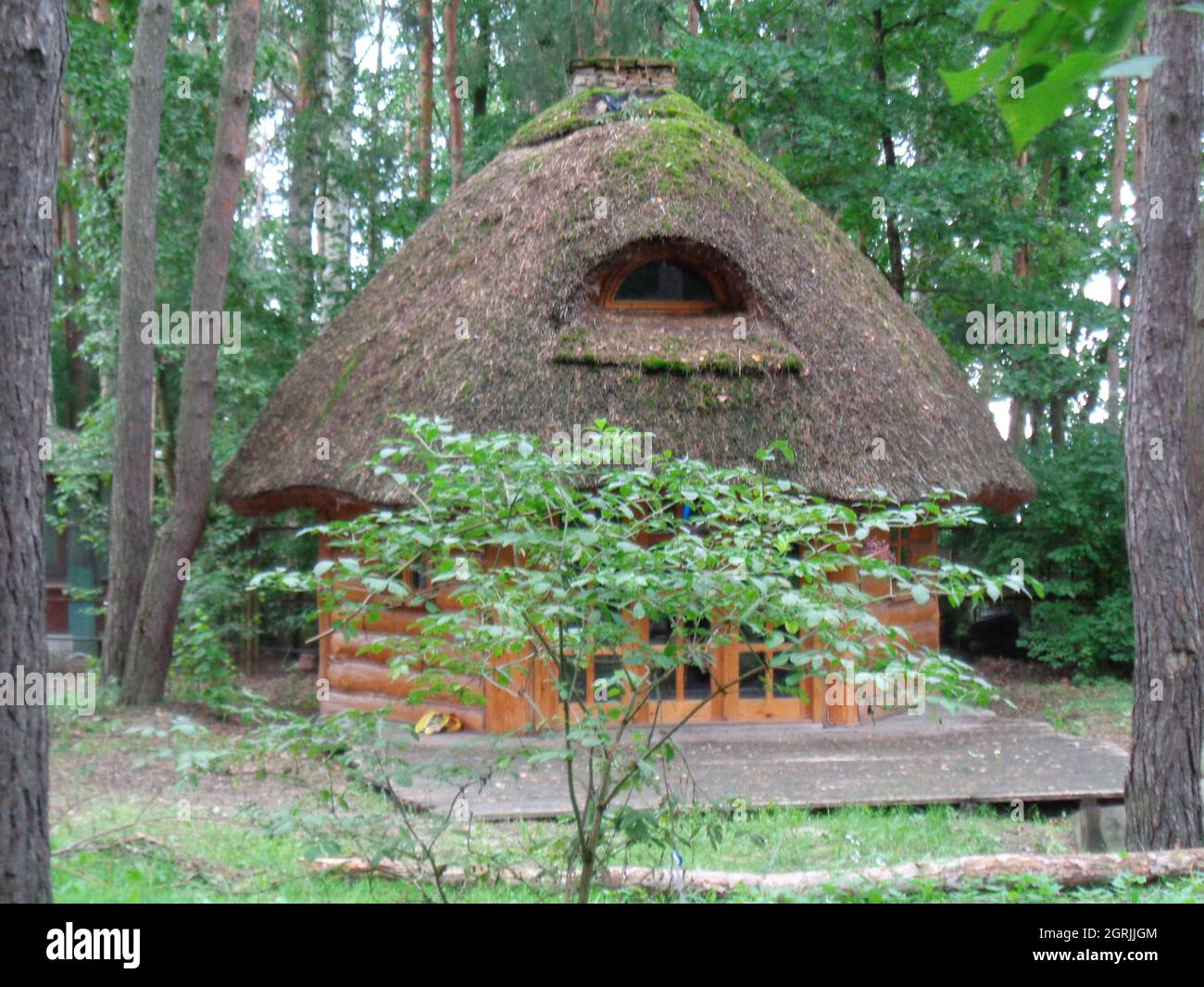 An old wooden house in the middle of the green forest Stock Photo - Alamy