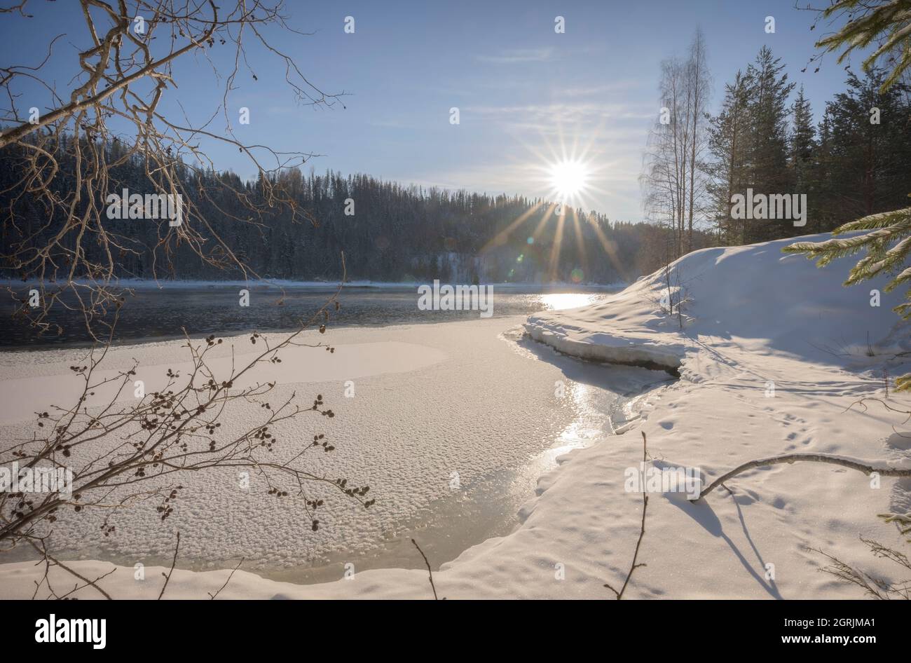swedish winter landscape with sun beams Stock Photo