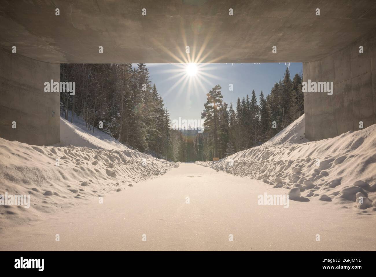 road and sun beams with an tunnel in the winter Stock Photo