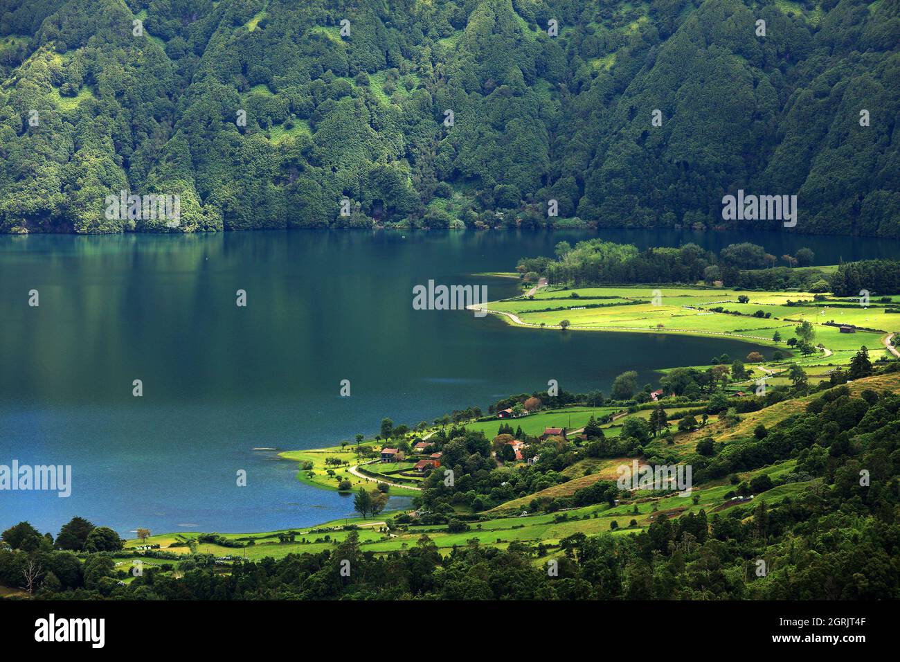 Scenic View Of Lake Against Trees Stock Photo