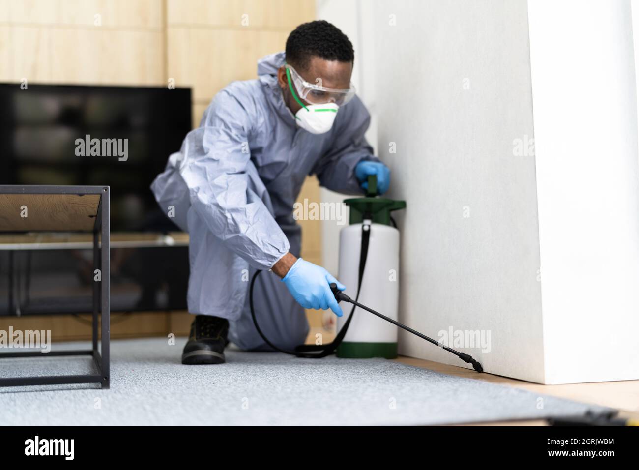 Pest Control Exterminator Services Spraying Termite Insecticide Stock Photo