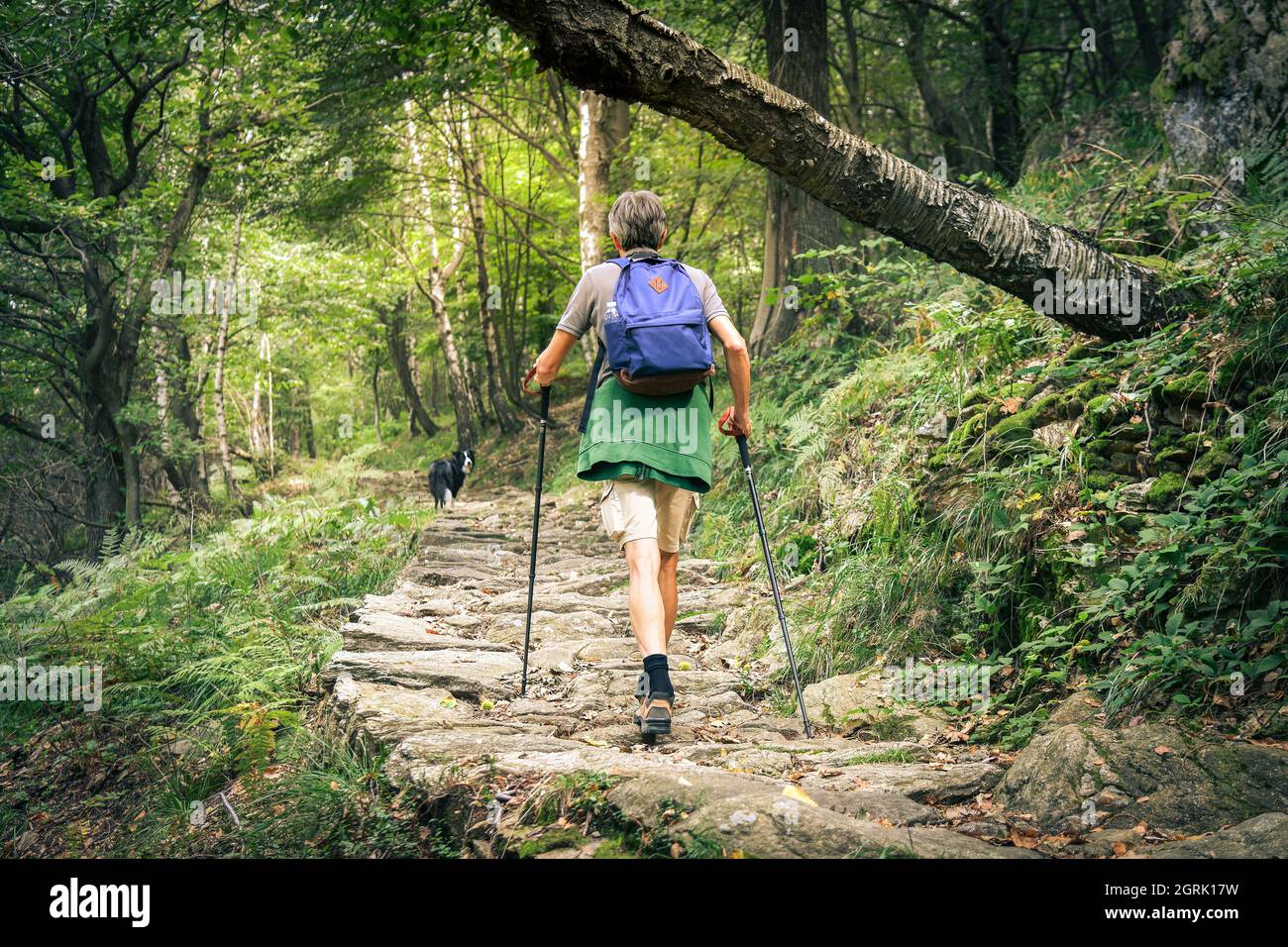 nåde formel Gå en tur Middle age man walking in the mountain forest. Male with backpack do hike  in the nature. Guy goes trekking outdoor in a beautiful park. Outdoors sport  Stock Photo - Alamy