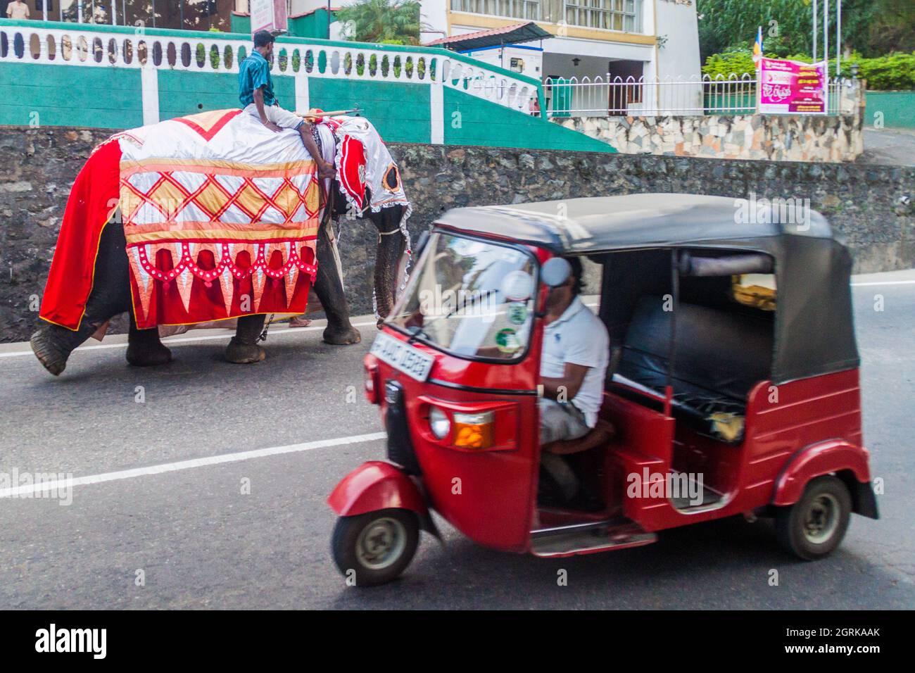 Kandy Sri Lanka July 19 16 Decorated Elephant On A Street Of Kandy During Poya Full Moon Holiday Stock Photo Alamy