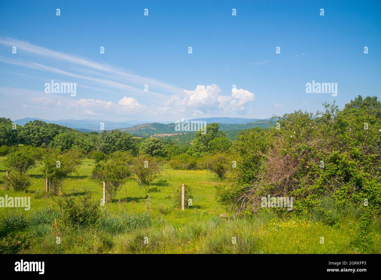 Landscape. Sierra del Rincon Biosphere Reserve, Madrid province, Spain. Stock Photo