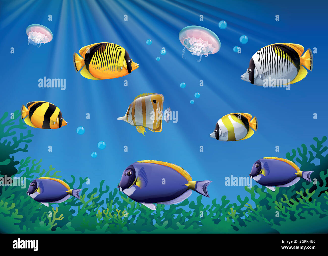 Scene with colorful fish swimming underwater Stock Vector