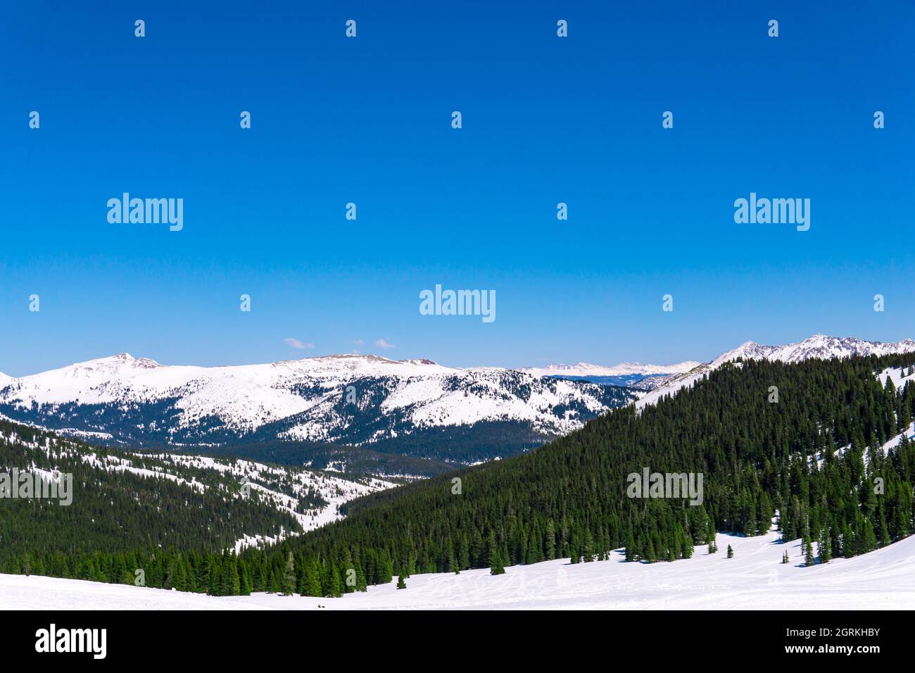Winter Landscape Mountain Peaks With Pine Forest Stock Photo