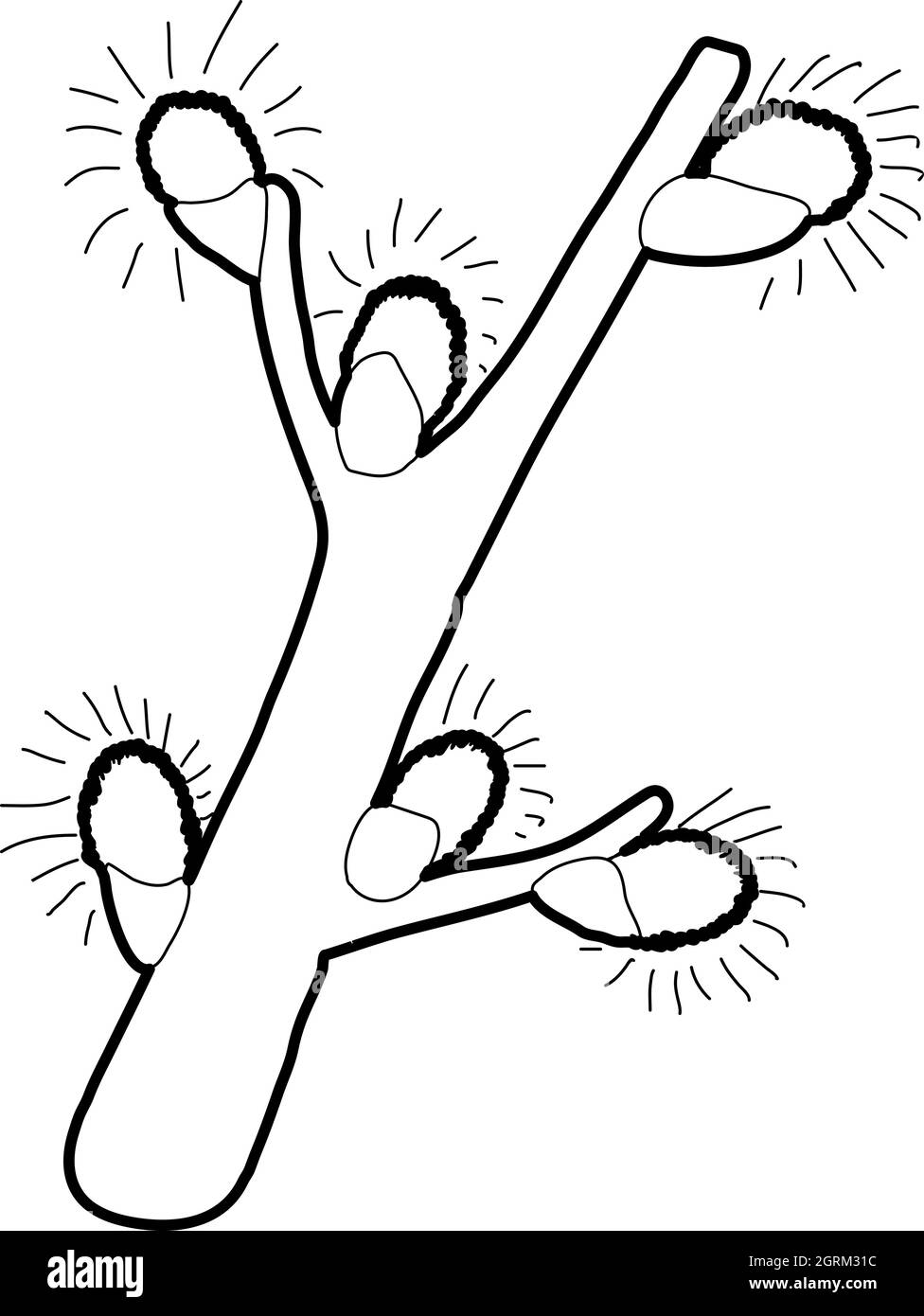 Spring flowering branch icon, isometric 3d style Stock Vector