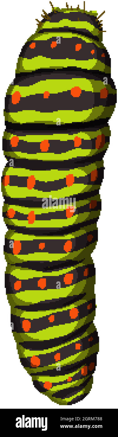 Caterpillar on white background Stock Vector Image & Art - Alamy