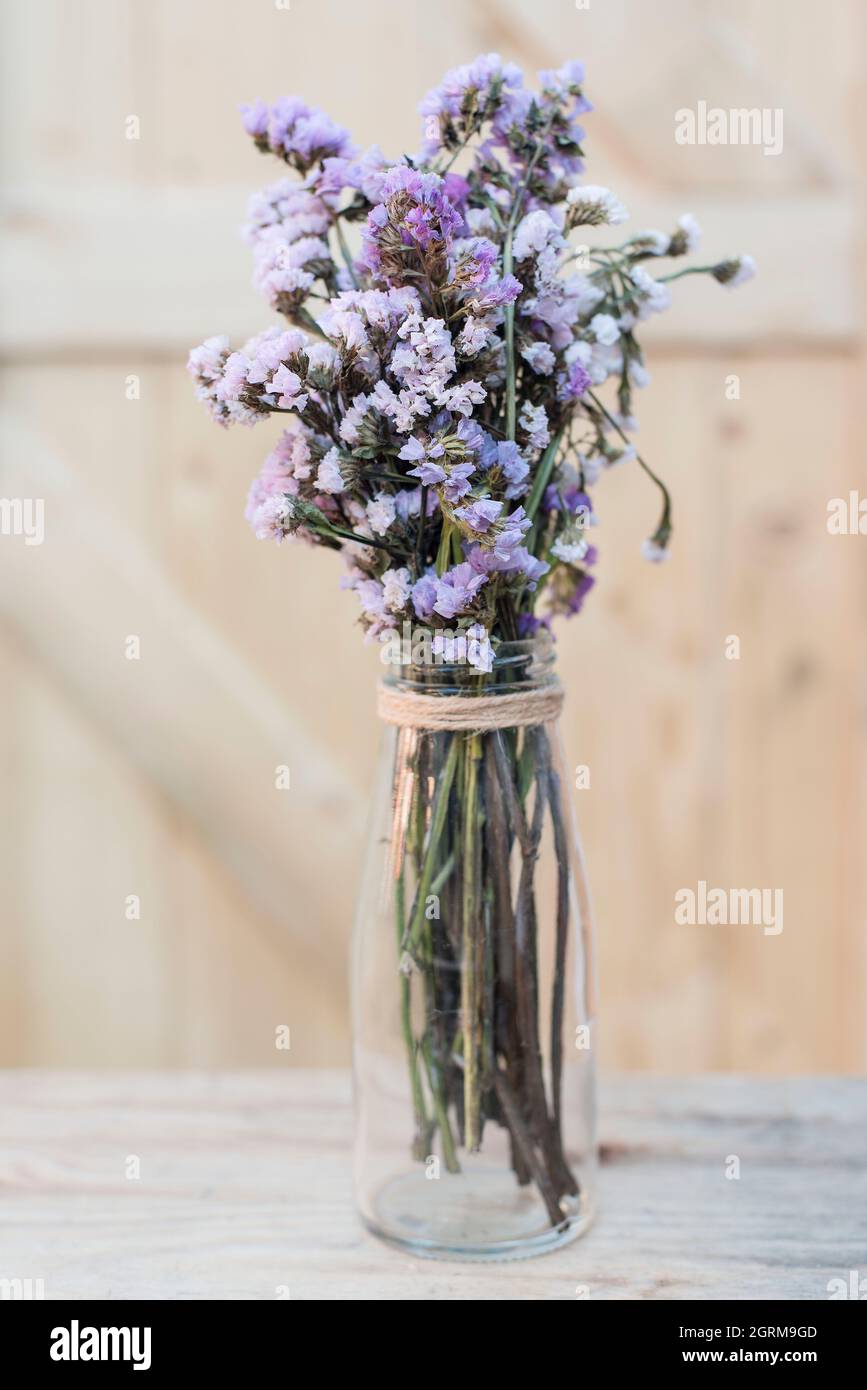 Close-up Of Flower Pot On Table Stock Photo