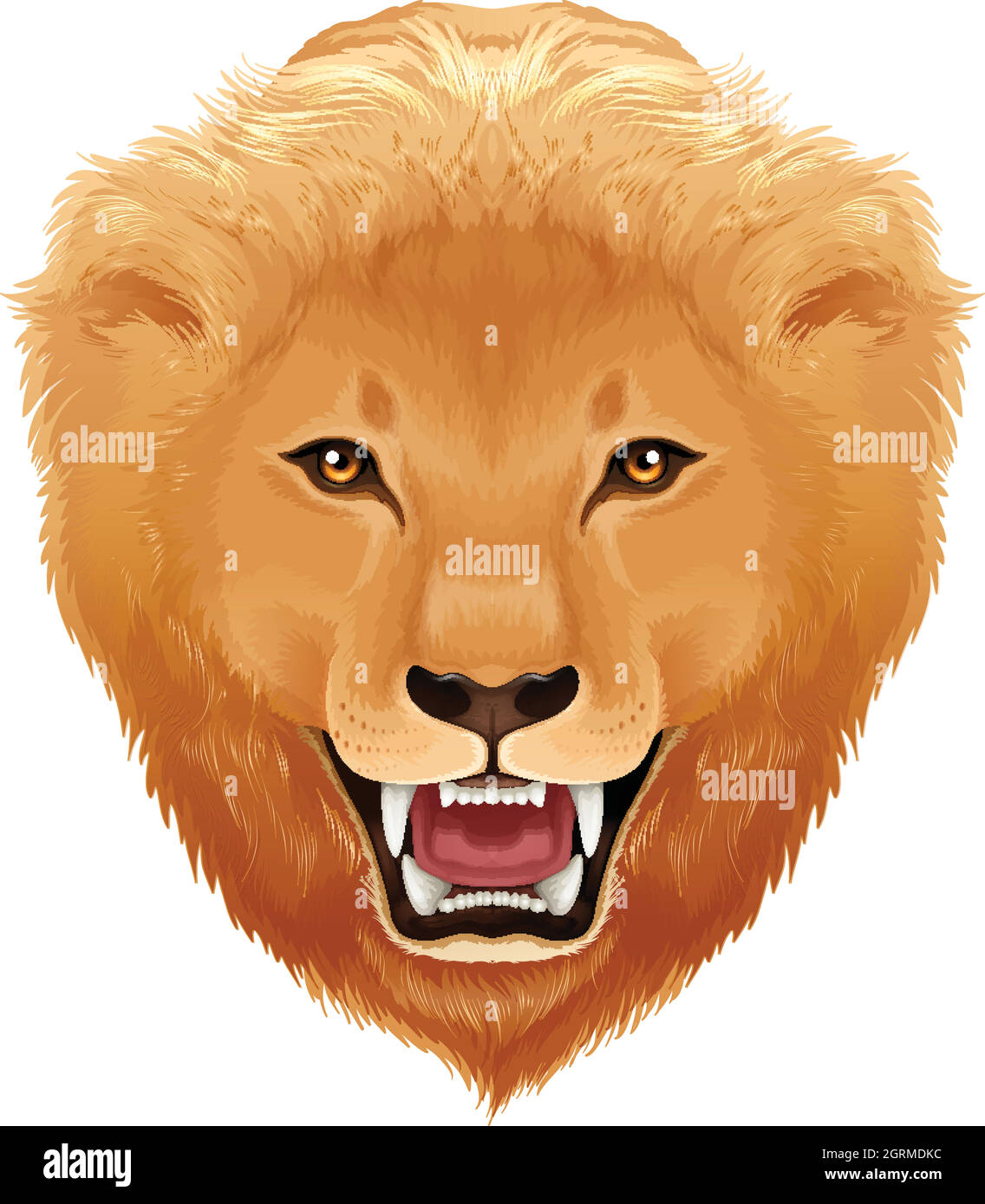 Lions head white background Stock Vector