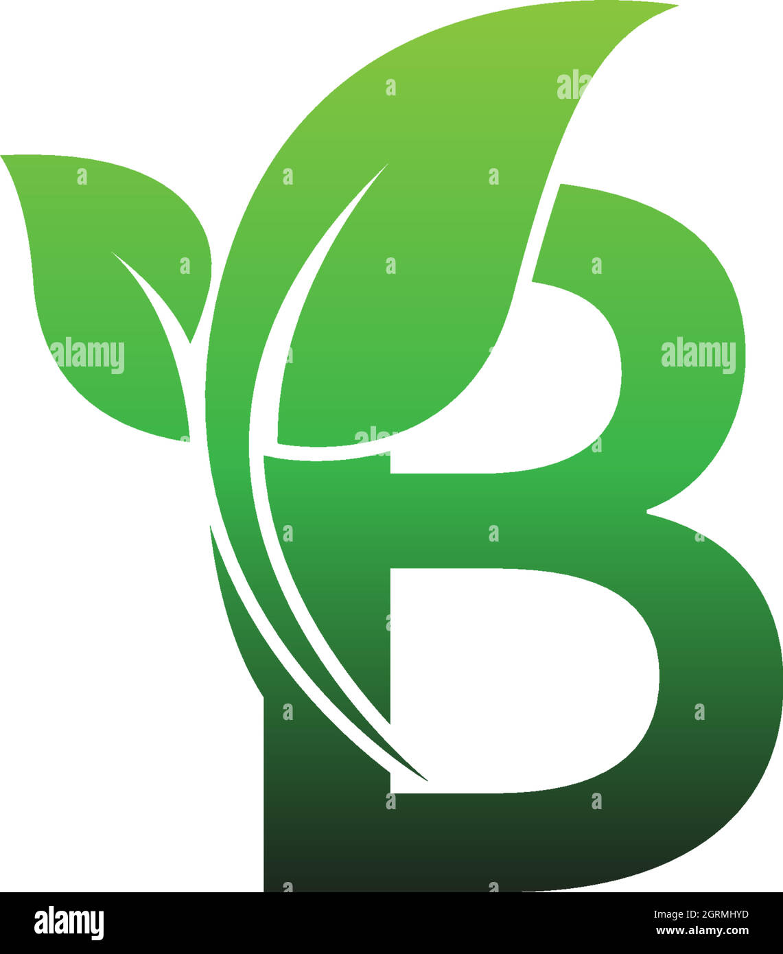 Letter B with green leafs icon logo design template illustration Stock ...