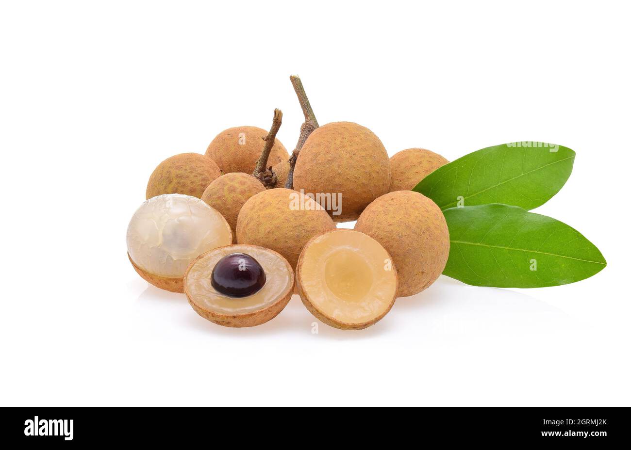 Mata Kucing Cut Out Stock Images Pictures Alamy