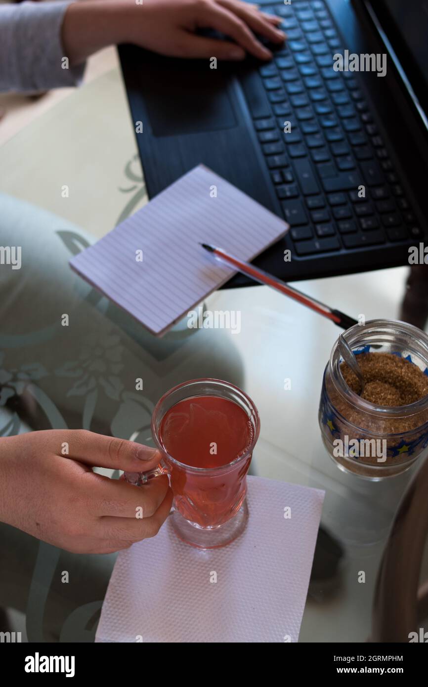 Woman with a tea cup on her hand and working on her laptop at home Stock Photo