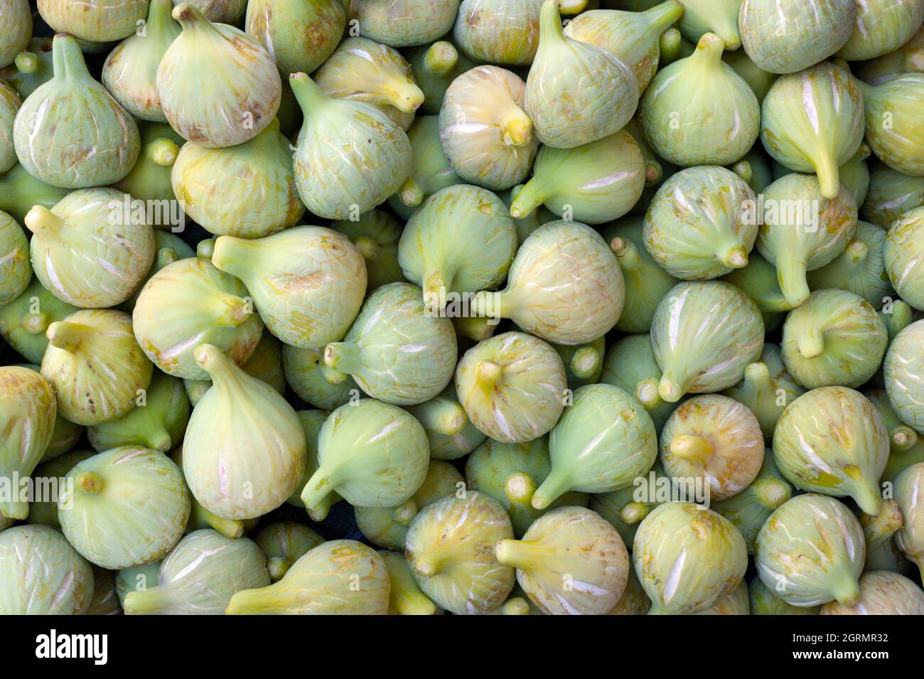 The fig, incir. Stock Photo