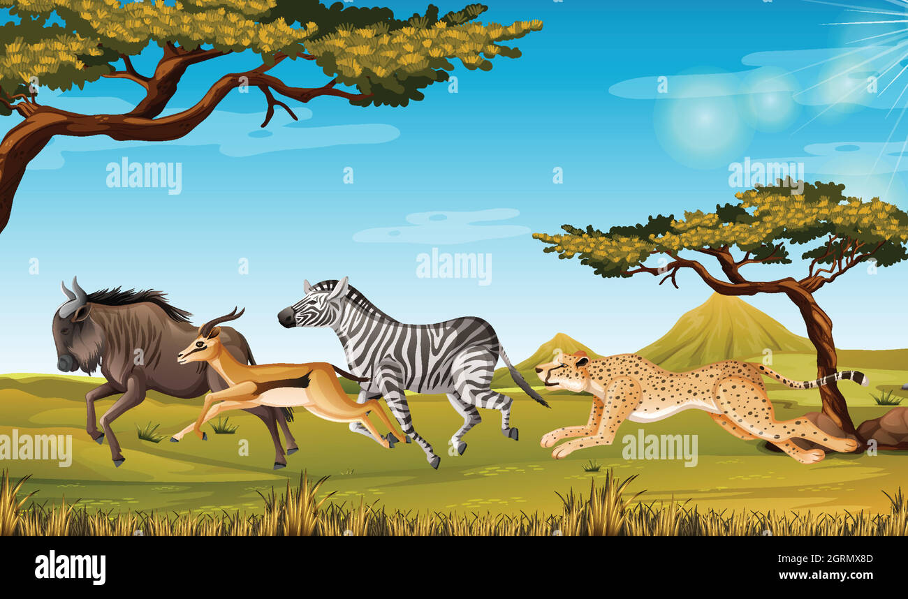 Wild animal running Savanna Stock Vector Image & Art - Alamy