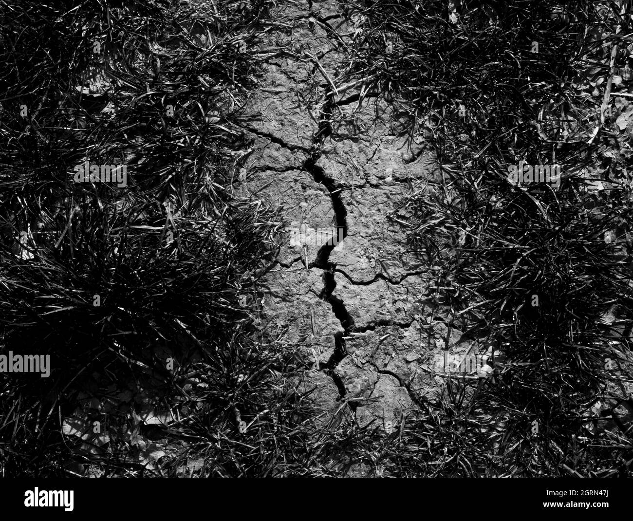 A crack in the ground Stock Photo - Alamy
