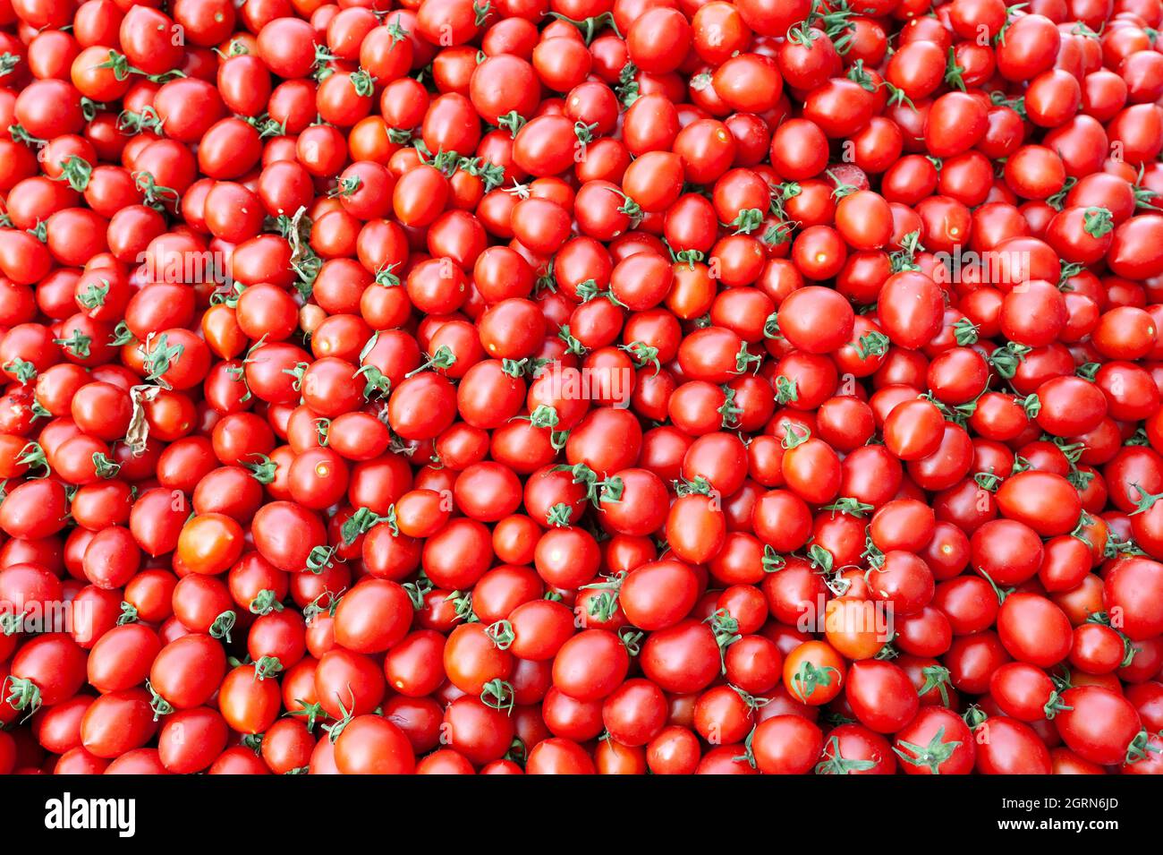 Fruit, tomatoes, tomato, organic stock photo Stock Photo