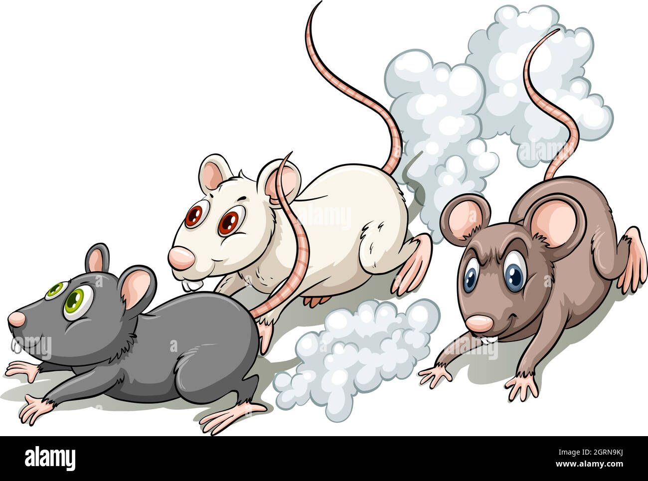 Three rats Stock Vector