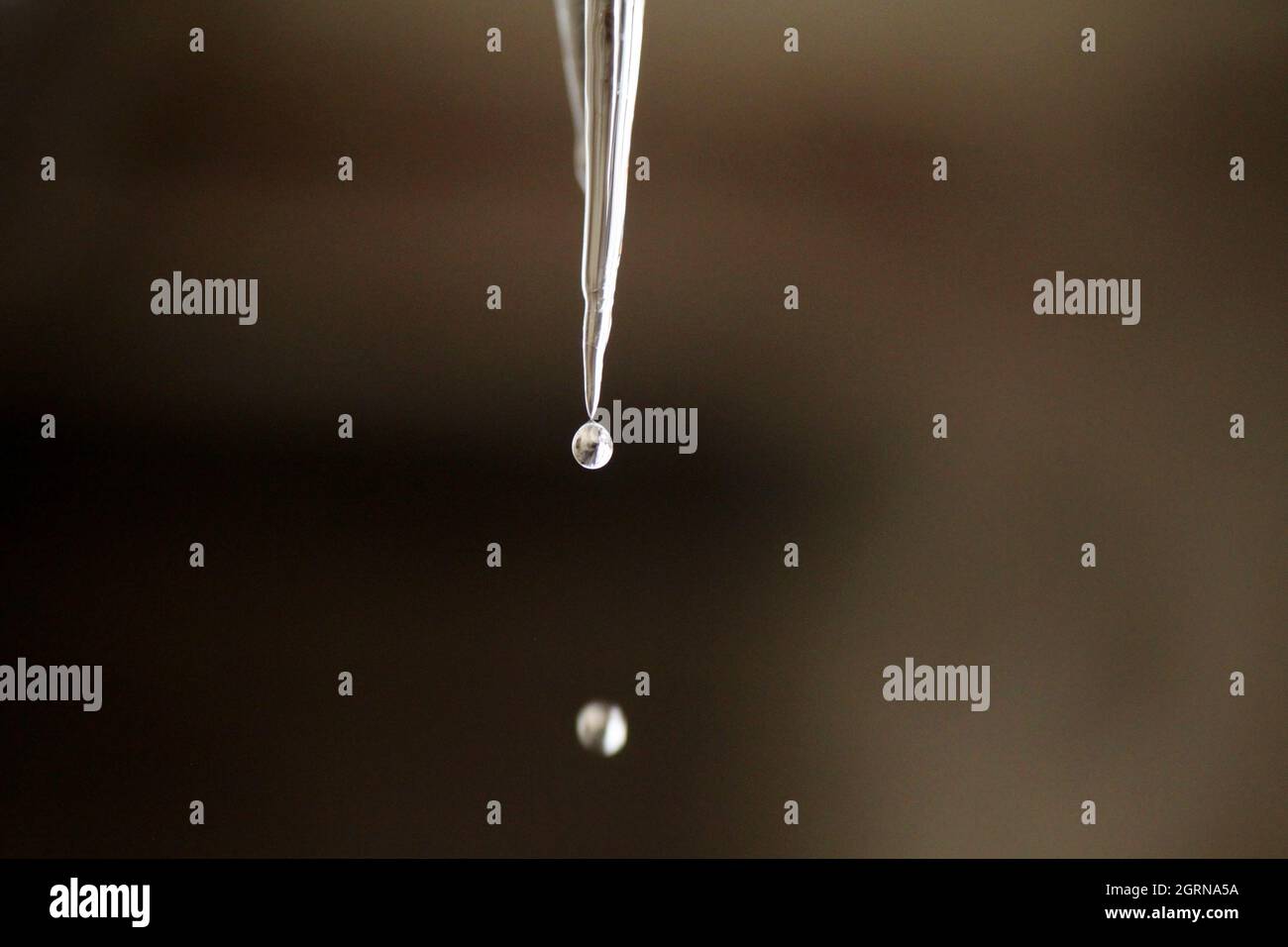 Drop of water on top of icicle Stock Photo - Alamy