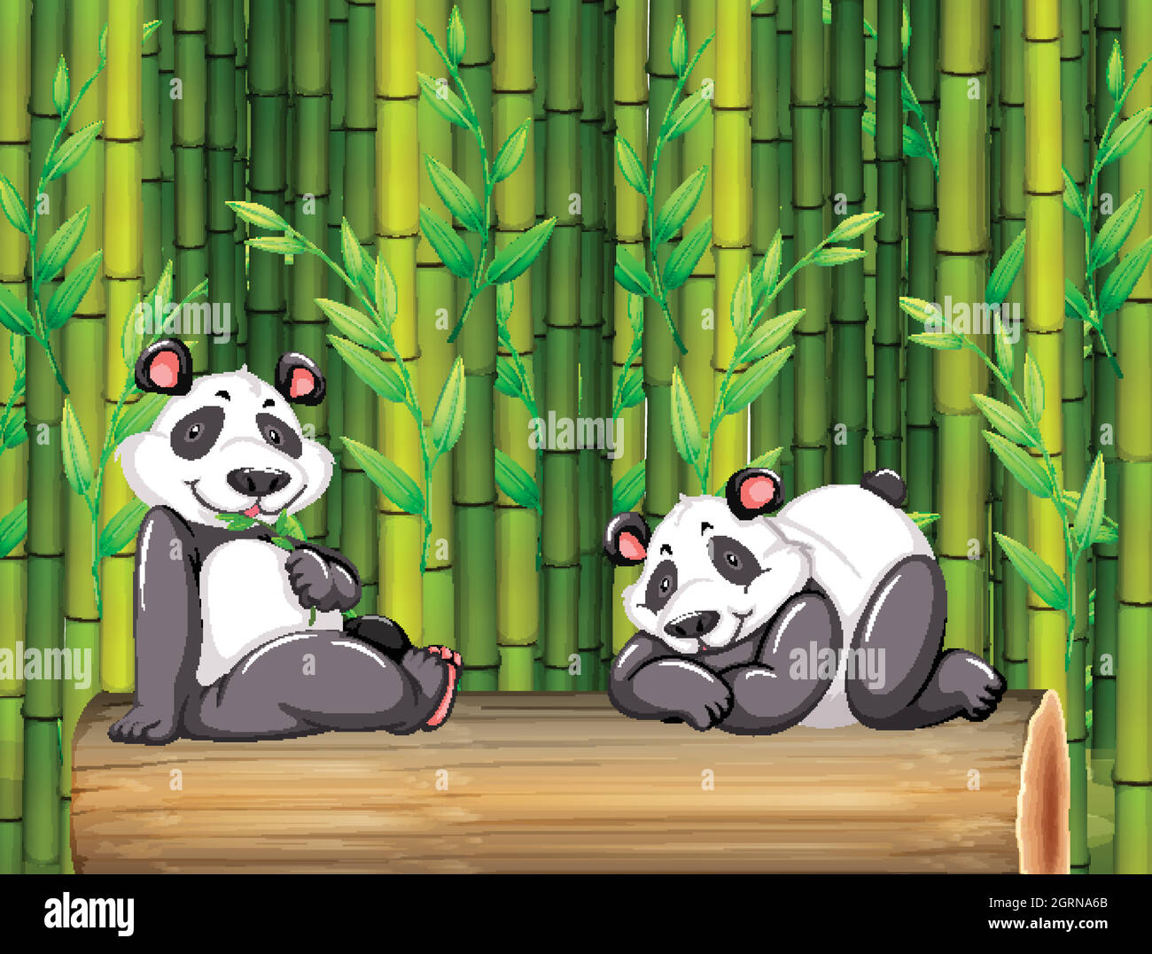 Two panda bears in bamboo forest Stock Vector Image & Art - Alamy