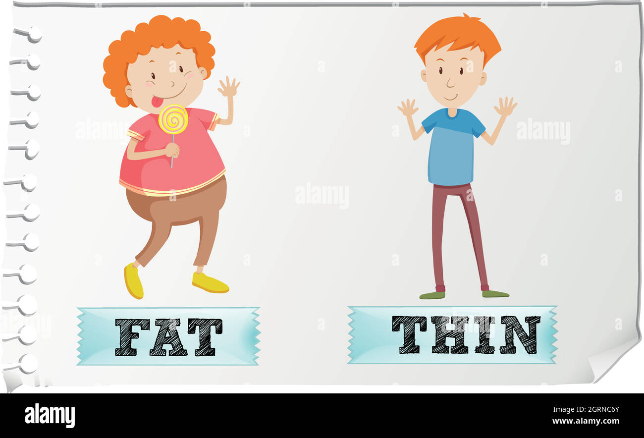 Opposite adjectives fat and thin Stock Vector
