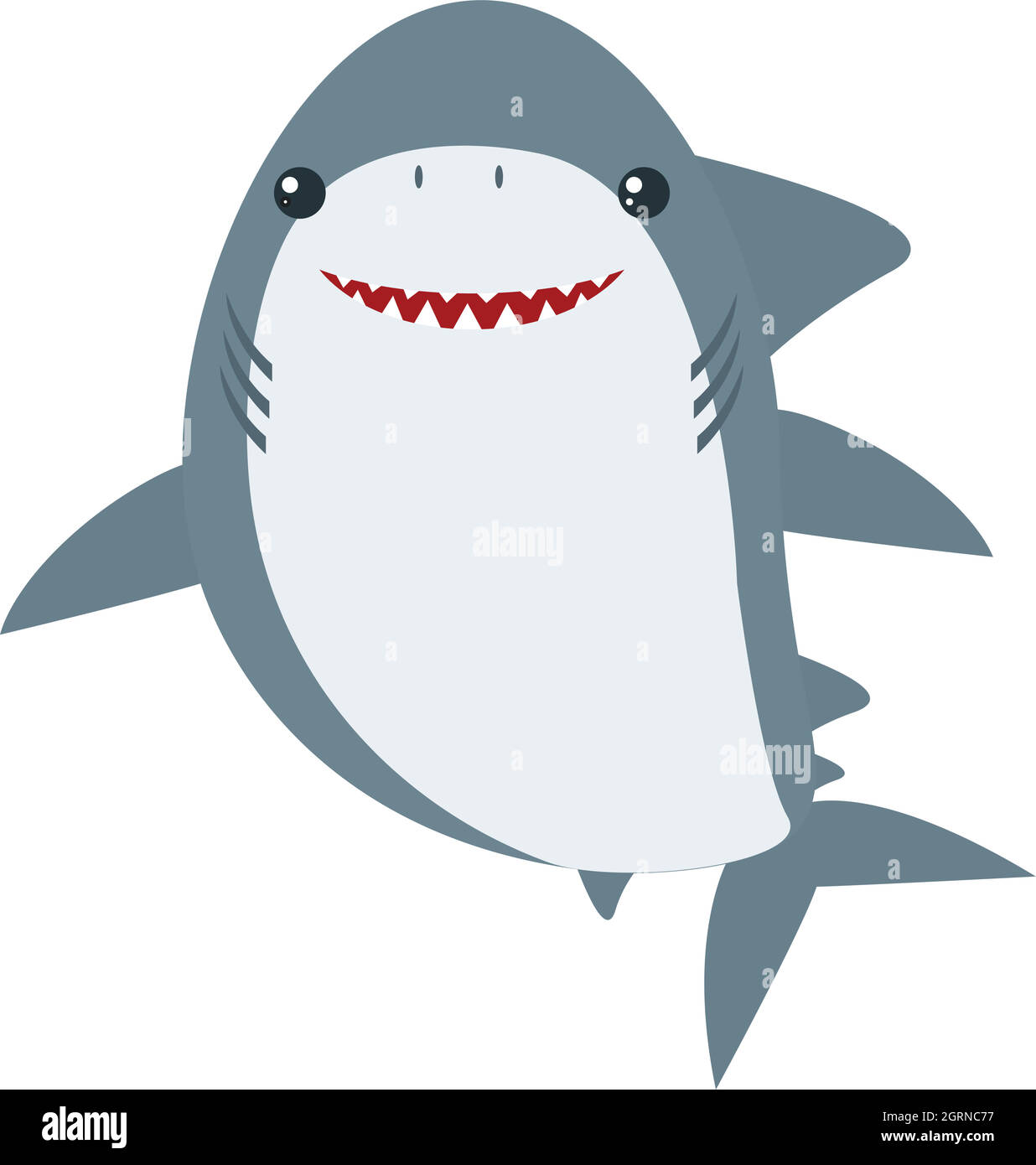 Great white shark on white background Stock Vector Image & Art - Alamy