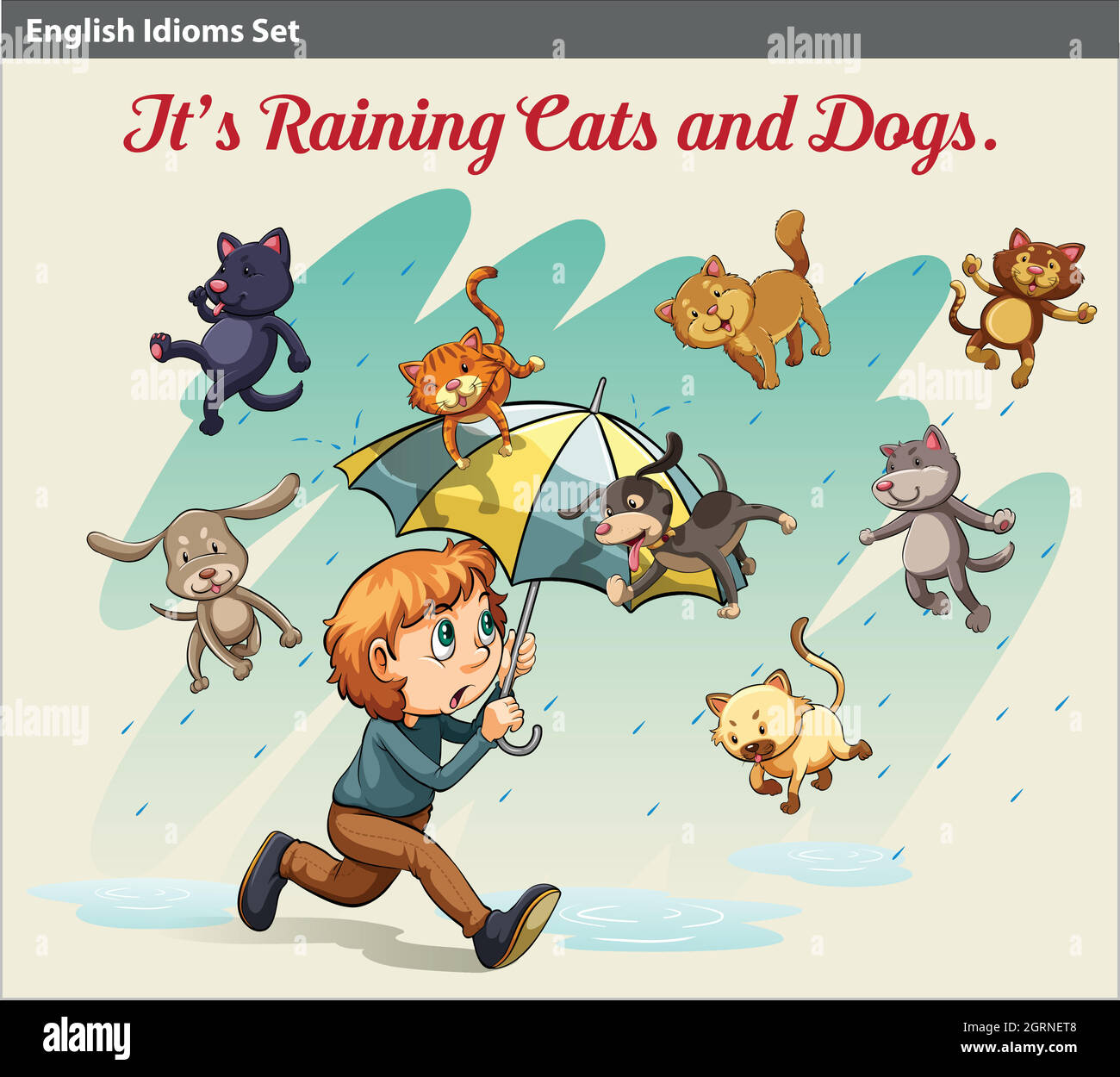 An idiom showing a rain with animals Stock Vector