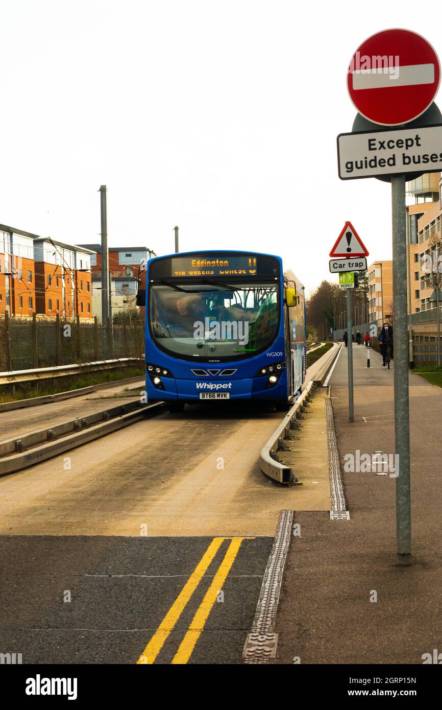Bus on guided busway in Cambridge England. This guided busway is a dedicated, buses-only route with buses running on a purpose-built track. Stock Photo