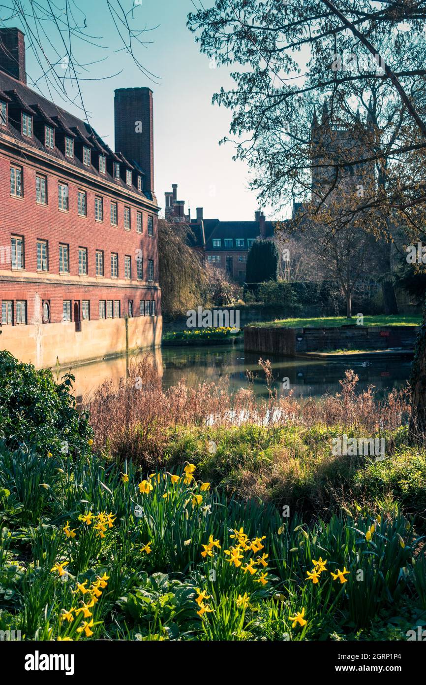 Gardens and river Cam at Magdalene College, University of Cambridge Stock Photo