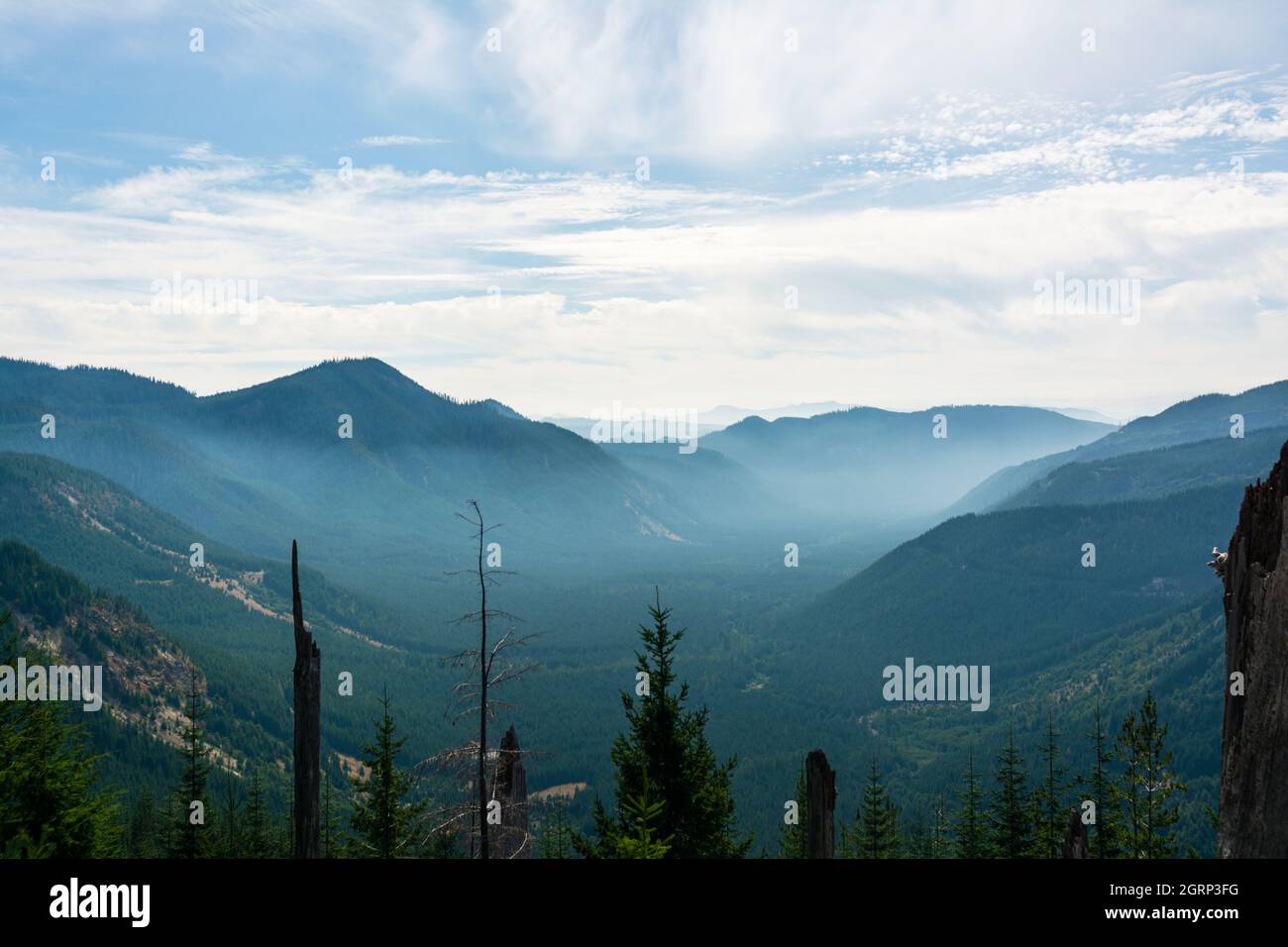 Aerial view of beautiful mountains and green forests Stock Photo - Alamy