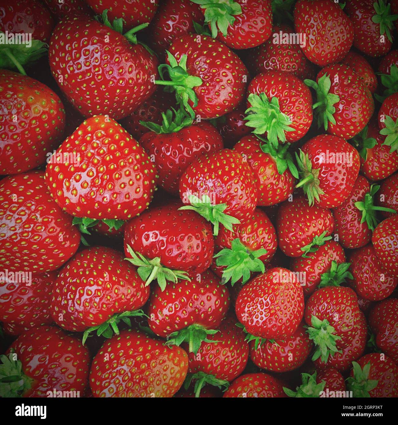 Glen gardner hires stock photography and images Alamy