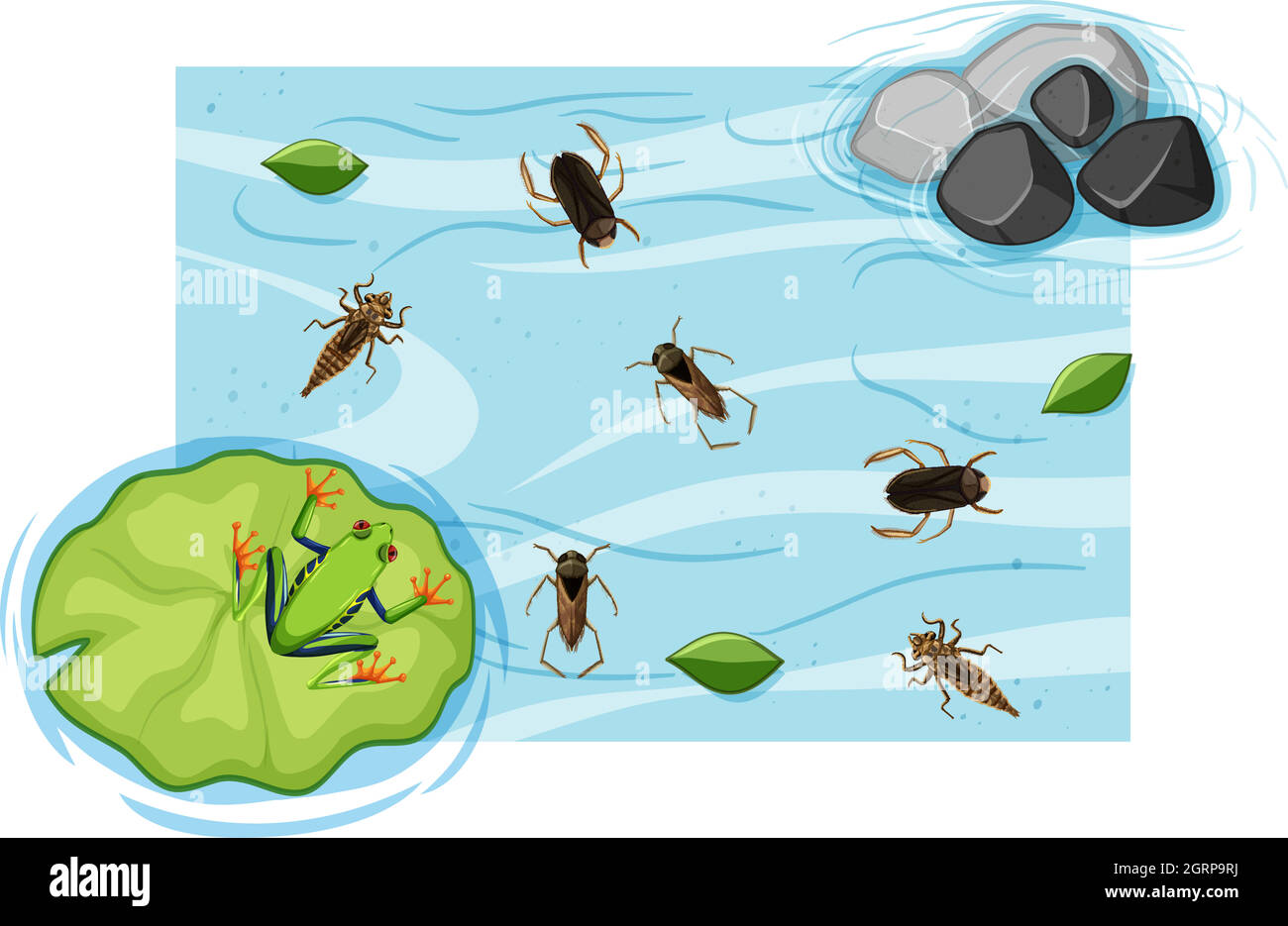 Top view of aquatic insects in the pond Stock Vector