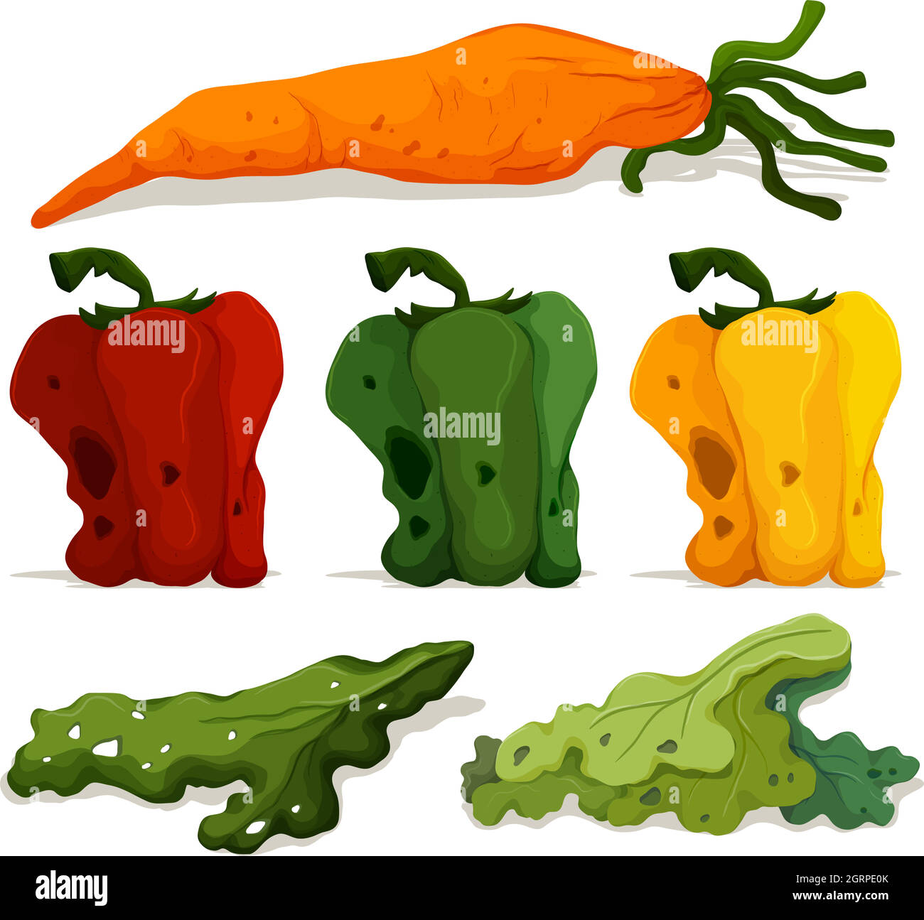 Different types of rotten vegetables Stock Vector Image & Art Alamy