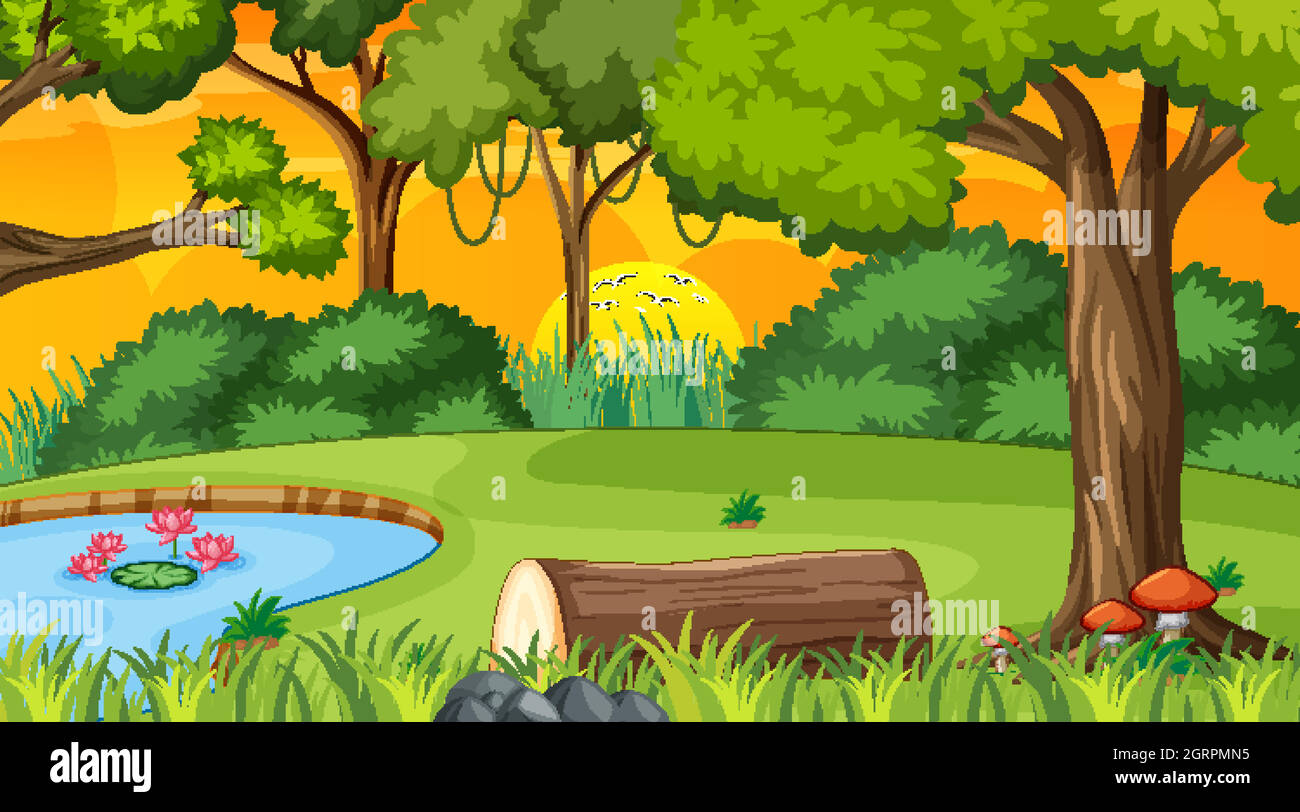 Forest nature scene with pond and many trees at sunset time Stock Vector