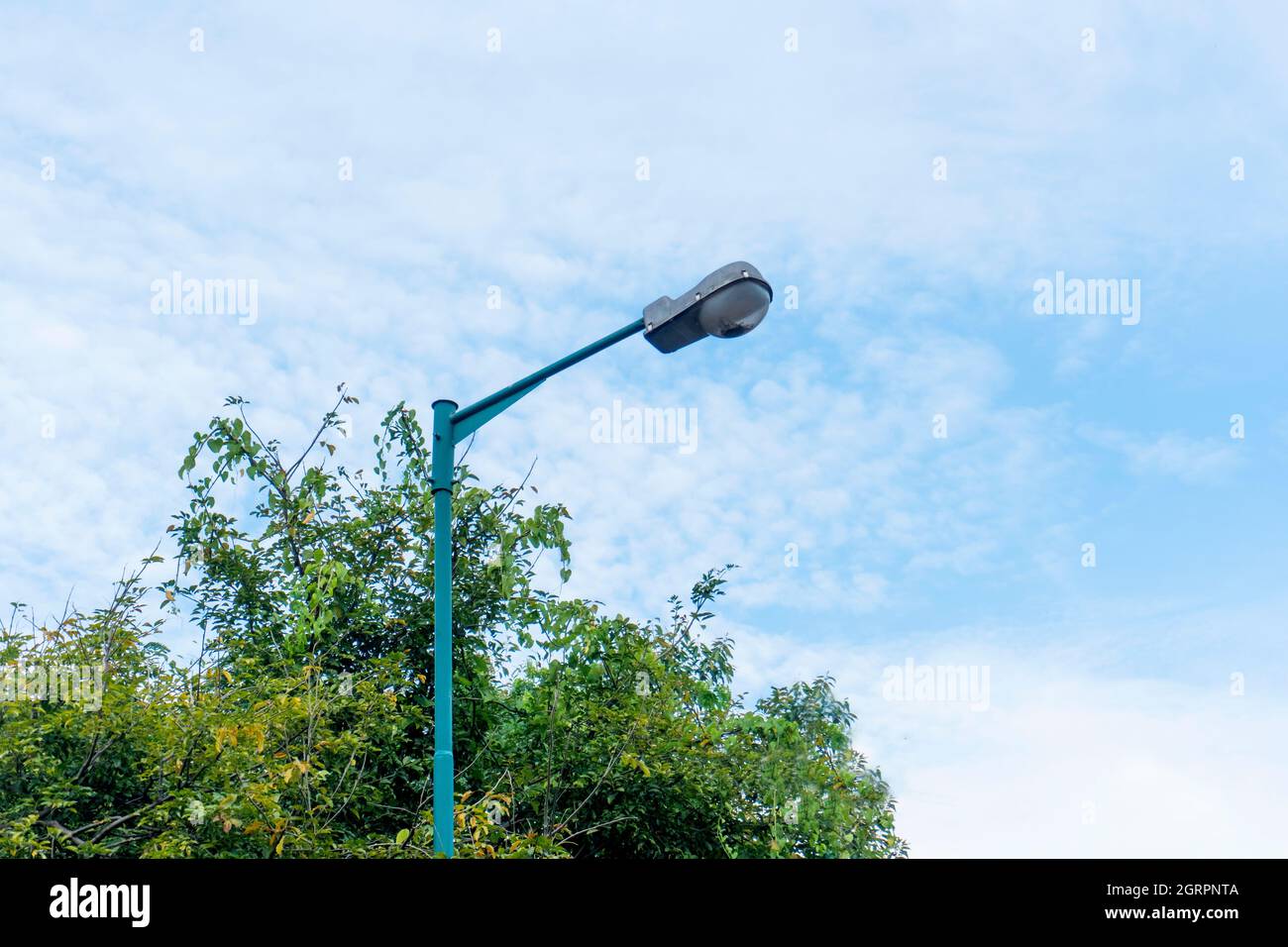 modern office building with tree and sky background Stock Photo - Alamy