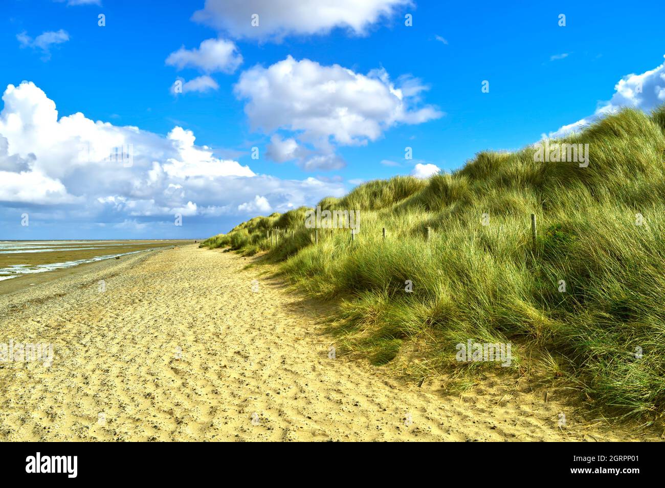 Prestatyn beach grass dunes, in North Wales Stock Photo