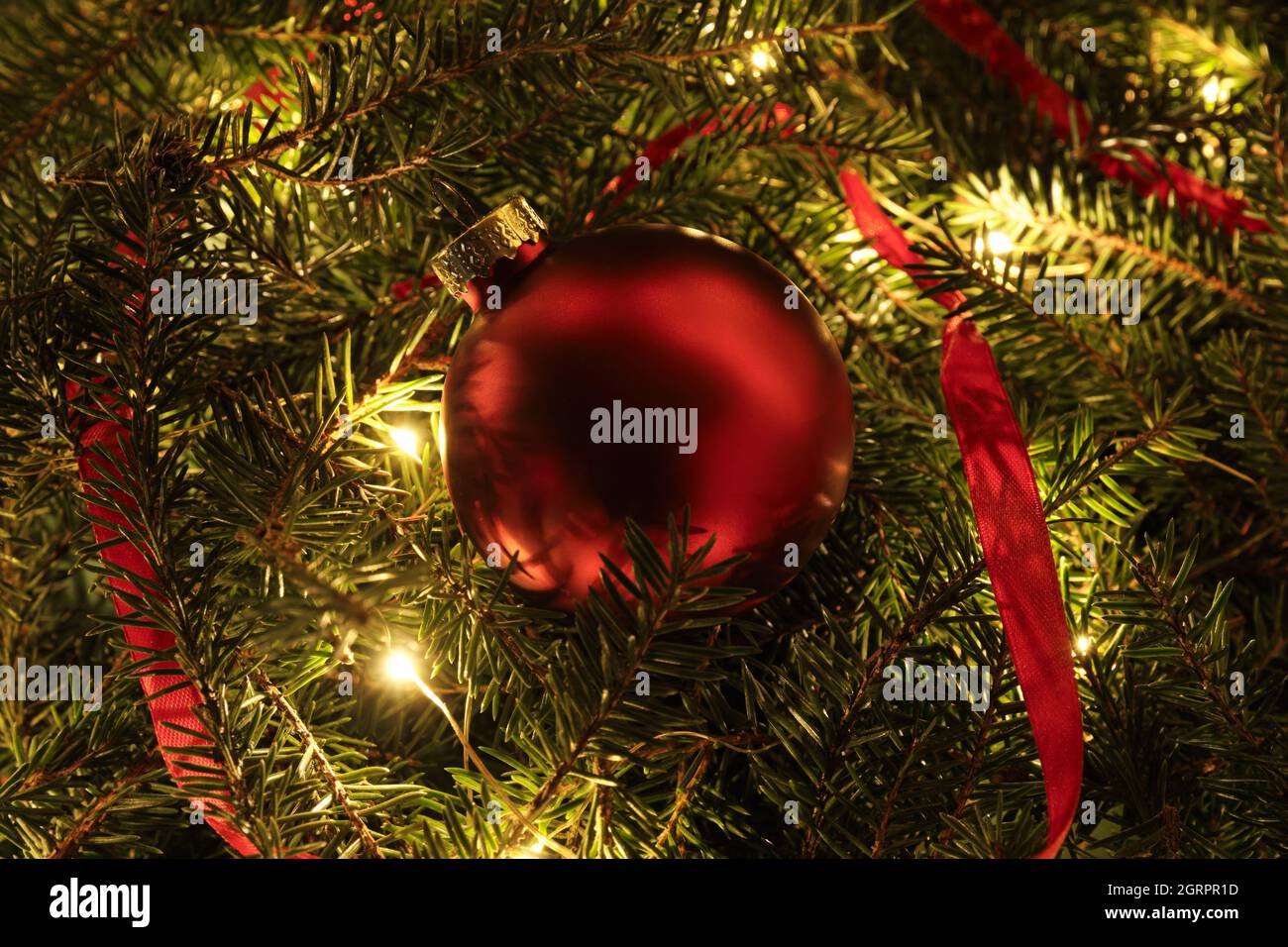 Red Glass Ball, Ribbon, Glowing Garland and Spruce Branches. Festive Decorations for Christmas and New Year. Stock Photo