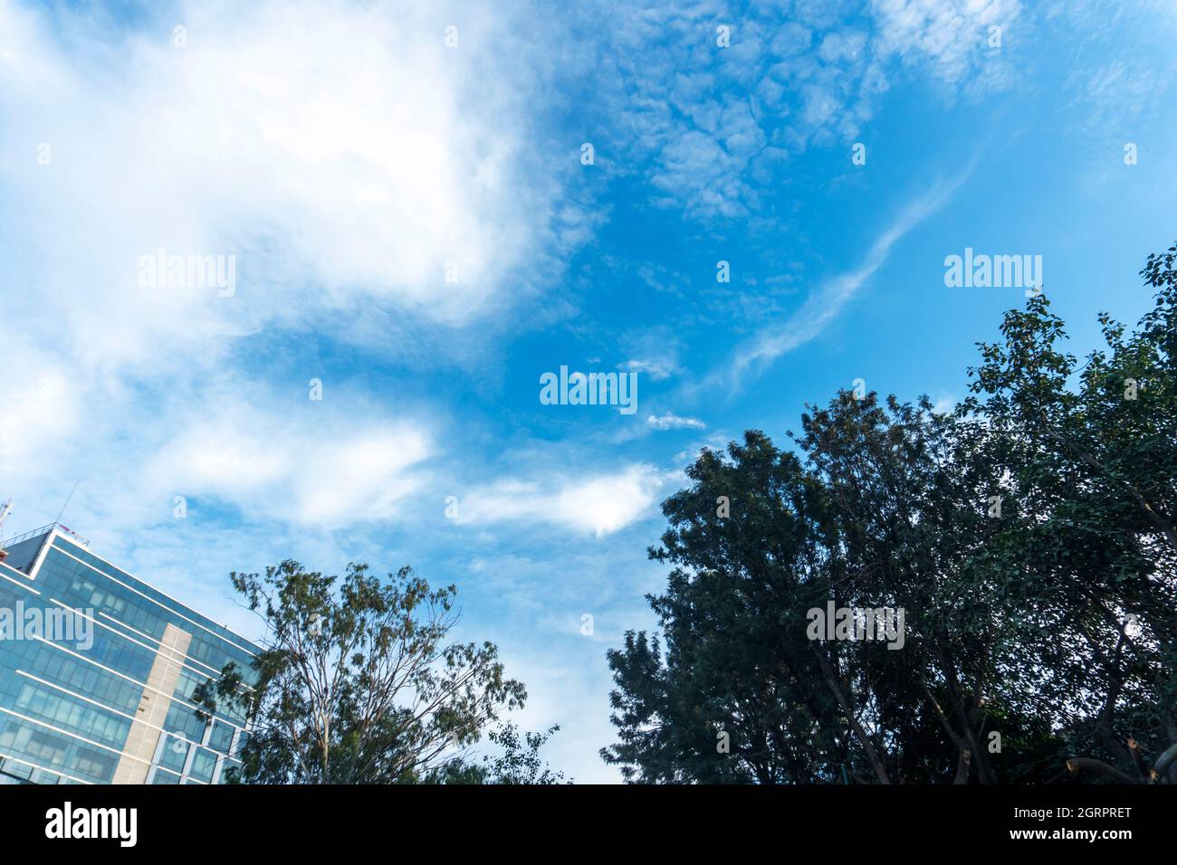 modern office building with tree and sky background Stock Photo - Alamy